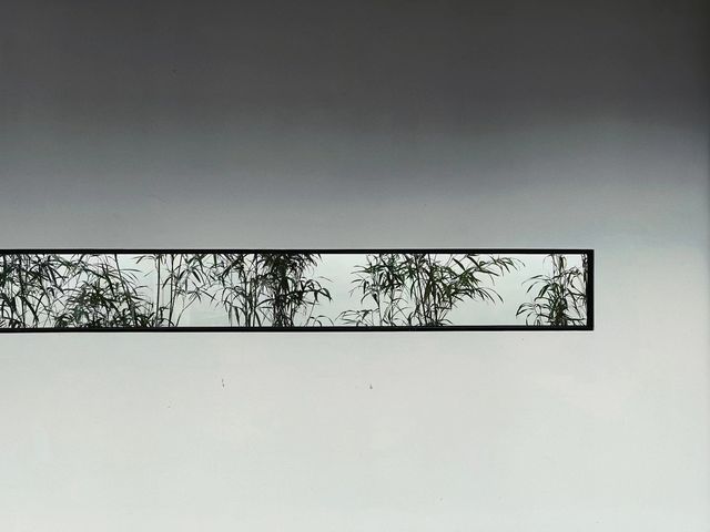 閩清蓮上雅集