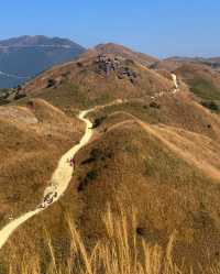 邂逅大南山，領略自然之美