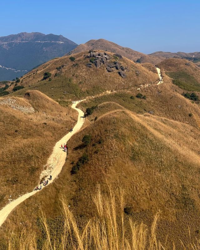 邂逅大南山，領略自然之美