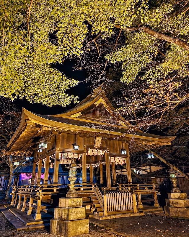 "金崎宮夜遊：燈影中的歷史與浪漫" 