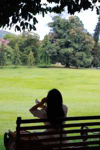 Discover the Enchanting Royal Botanical Gardens in Kandy, Sri Lanka