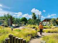 Auckland Botanic Gardens: A Scenic Escape