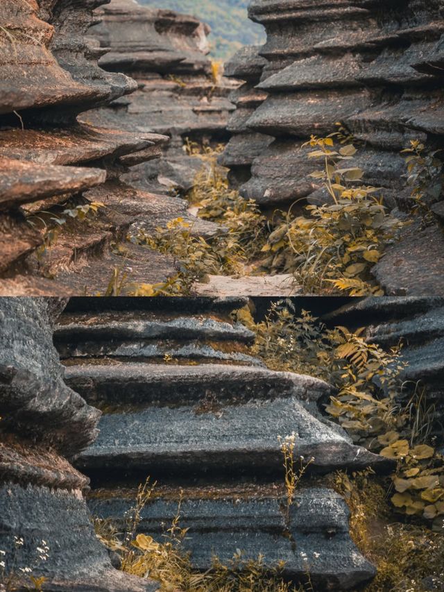 人間最後的秘境｜臘爾山（地質奇觀）