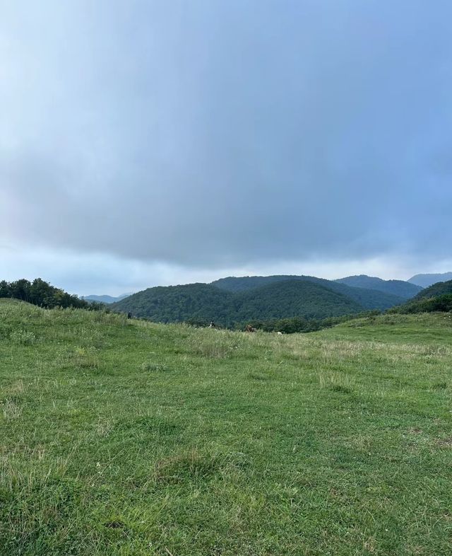 適合露營嘅襄陽「阿勒泰」～襄陽南頂大草原