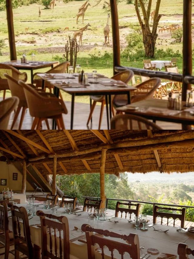 南非旅行｜入住野生動物保護區裏的奢華酒店