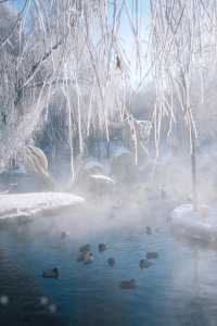 《水磨溝公園：烏魯木齊的山水之旅，帶你找回心中的寧靜》