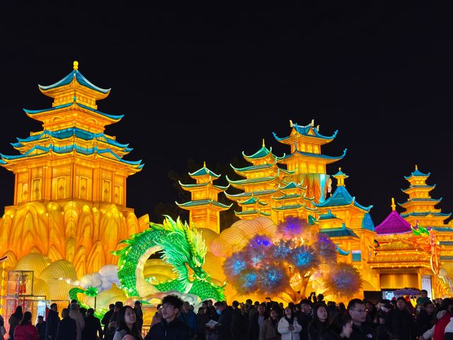 自貢燈會，你太低調了，我來得太晚了！