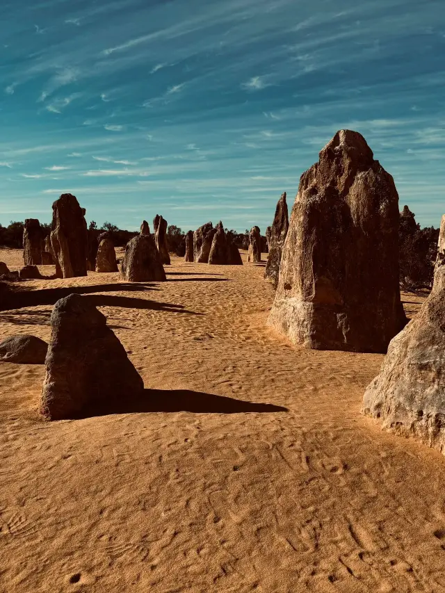 호주 3일 여행|초상세 완벽 가이드 필수 저장