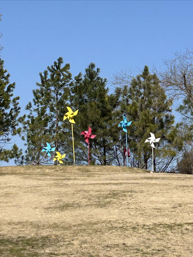 隱藏在城市中的寶藏公園，景美人少，少人知曉