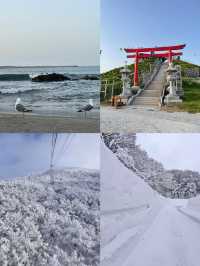探秘青森：解鎖日本東北的夢幻角落