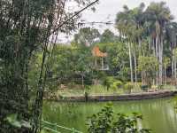 湛江，悠閒打卡<寸金橋公園>