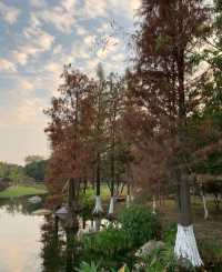 廣州city walk｜週末好去處之白雲湖公園