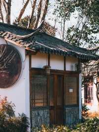 寒假遊曲靖-昆明-彌勒 超詳細攻略助你暢遊無阻