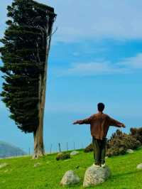 Stepping into New Zealand is like entering a world of freedom⛰️