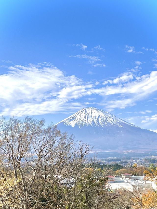 7日暢遊日本 熱門風景一網打盡