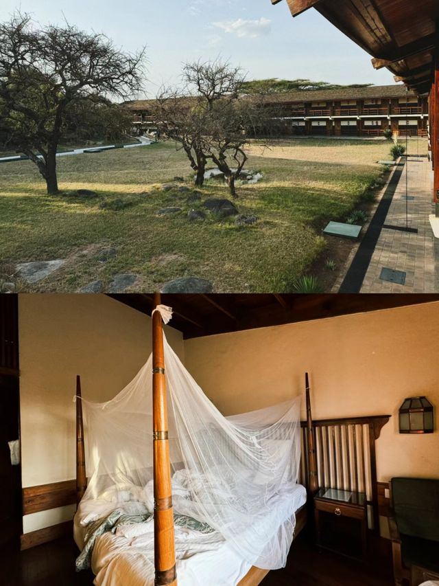 在塞倫蓋蒂住過的漂亮酒店