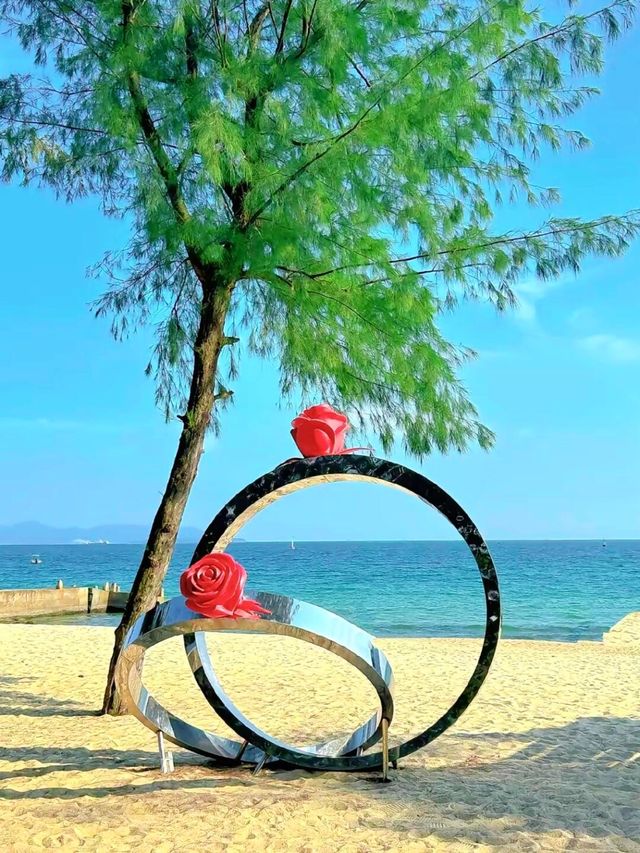 情人節歡迎來到深圳玫瑰海岸 