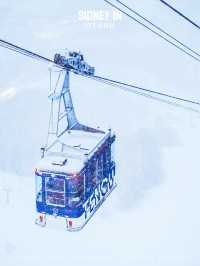 ❄️為什麼2025年雪季還要去小樽？
