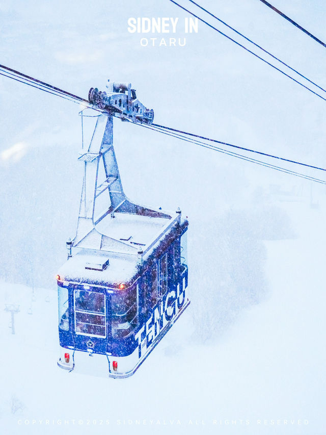 ❄️為什麼2025年雪季還要去小樽？