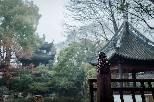 【上海青浦曲水園】雨中江南,絕美打卡地! 【上海青浦曲水園】雨中江南,絕美打卡地!