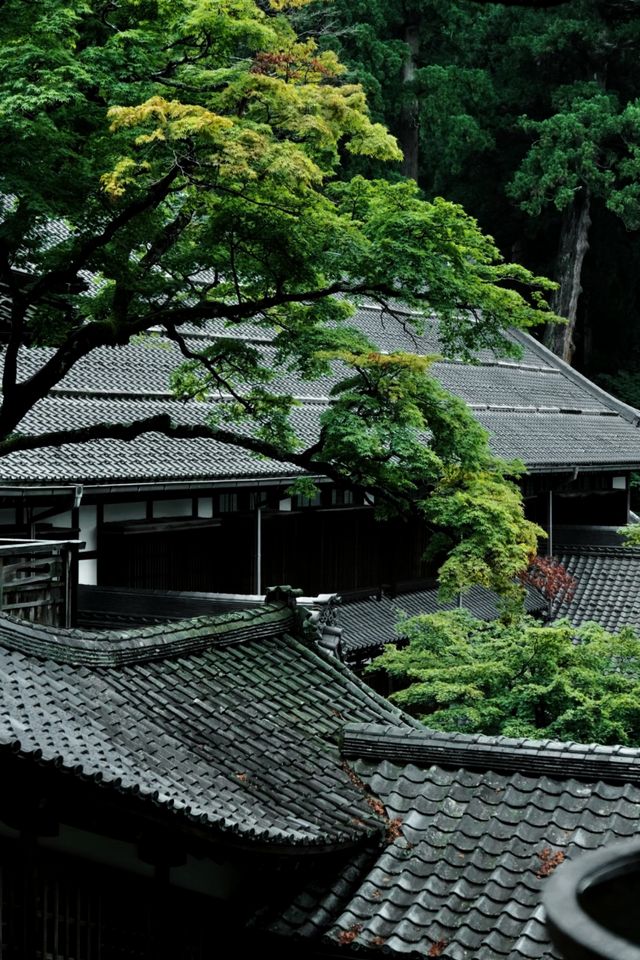 日本福井——一場小眾而浪漫嘅霓虹之行