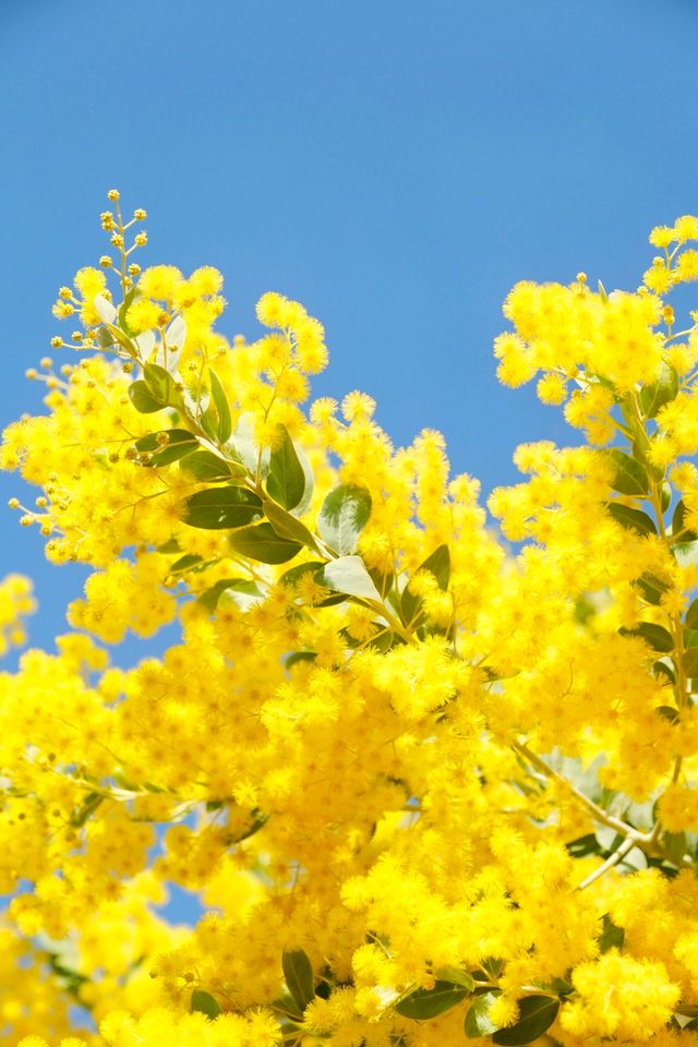 美哭花花世界又來廣州兒童公園