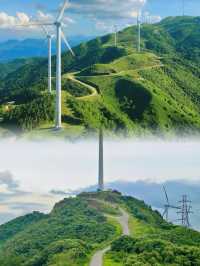 放棄武功山，廣東最適合新手的高山草甸絕了