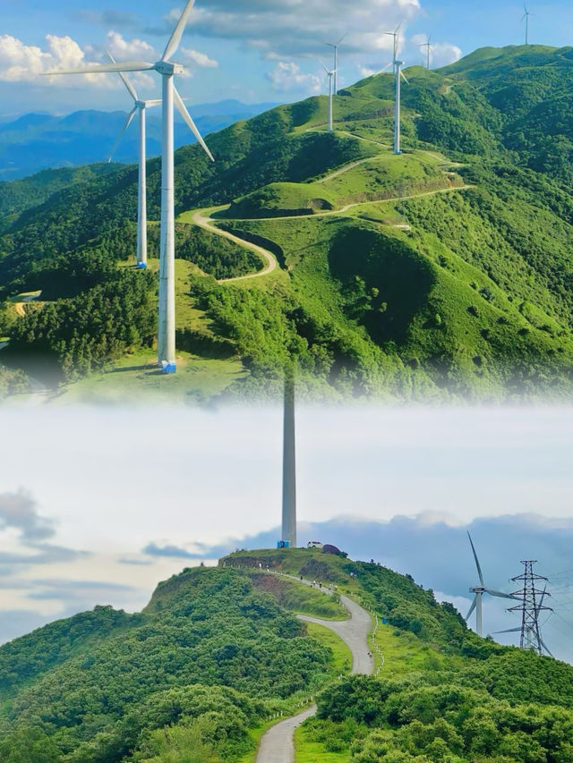 放棄武功山，廣東最適合新手的高山草甸絕了