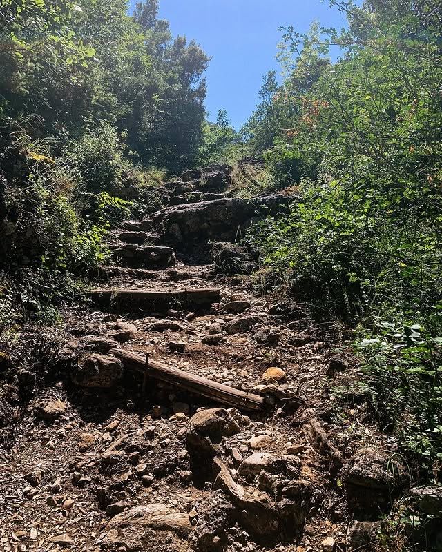 奧林匹斯國家公園：土耳其的自然瑰寶 