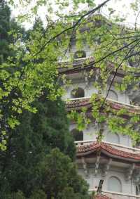 白岩公園：又打卡一個新地點。