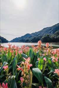 廣東寶藏森林公園，可駕車前往！