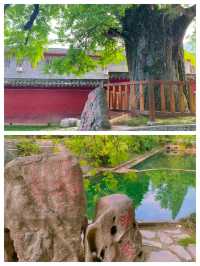 宜昌玉泉寺