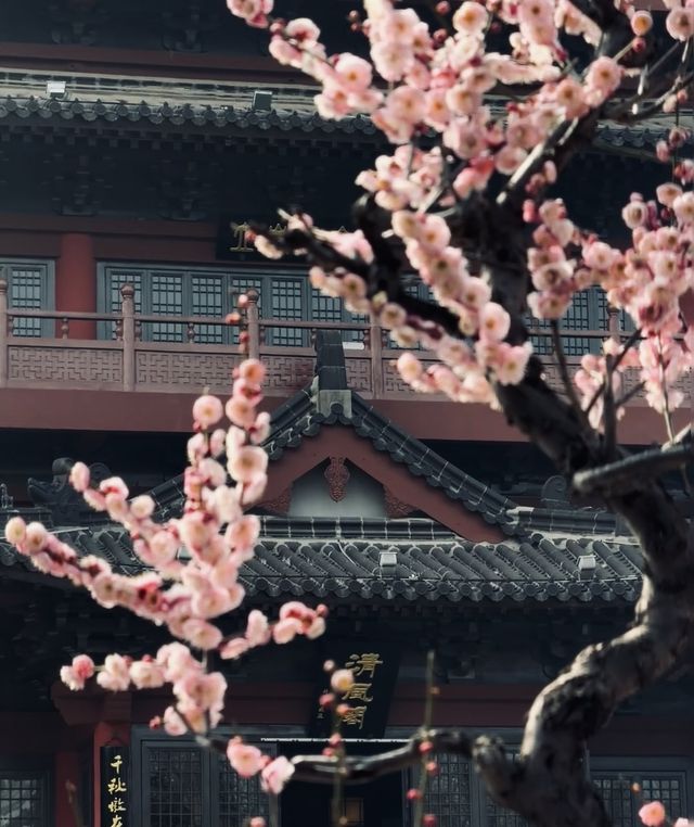 肥必去人文與自然完美融合！