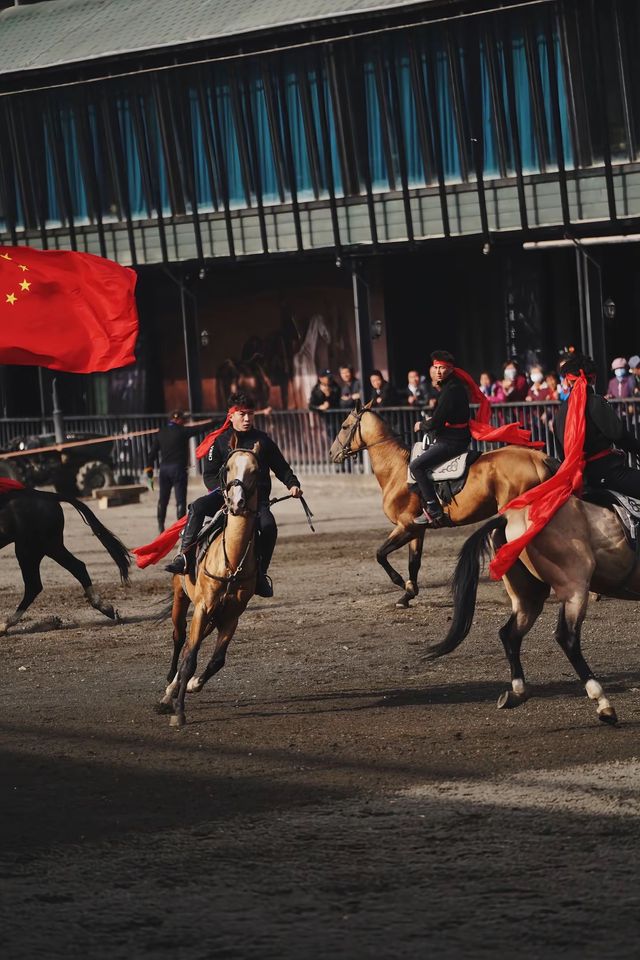 太激動!太熱血沸騰了!家人們,去烏魯木齊一定要去這個地方! 太激動!太熱血沸騰了!家人們,去烏魯木齊一定要去這個地方!