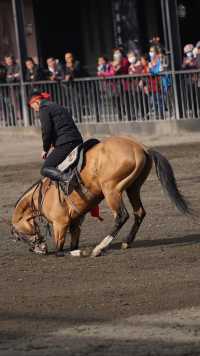 太激動!太熱血沸騰了!家人們,去烏魯木齊一定要去這個地方!