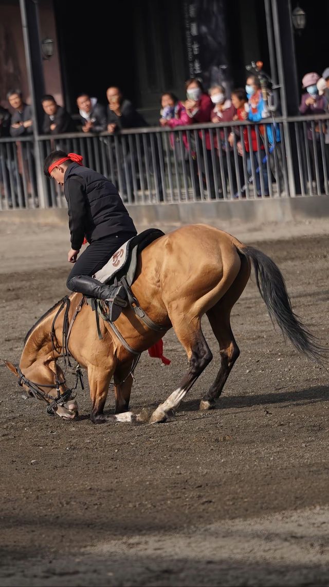 太激動!太熱血沸騰了!家人們,去烏魯木齊一定要去這個地方! 太激動!太熱血沸騰了!家人們,去烏魯木齊一定要去這個地方!