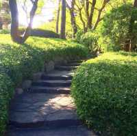 在東京八芳園，我找到了讓時間靜止的餐廳💗