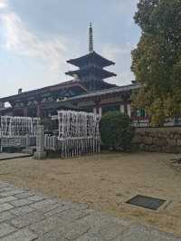四天王寺深度遊覽攻略：游客親身體驗