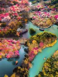 接下來一個月，呢個公園就快靚到封神！