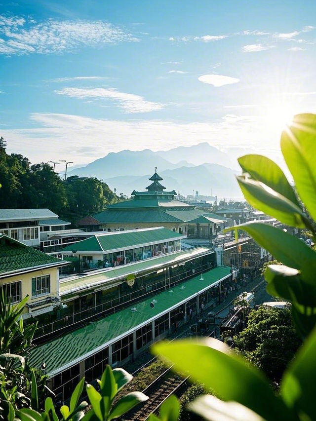 暢玩嘉義市：解鎖三日兩夜的精彩寶島之旅