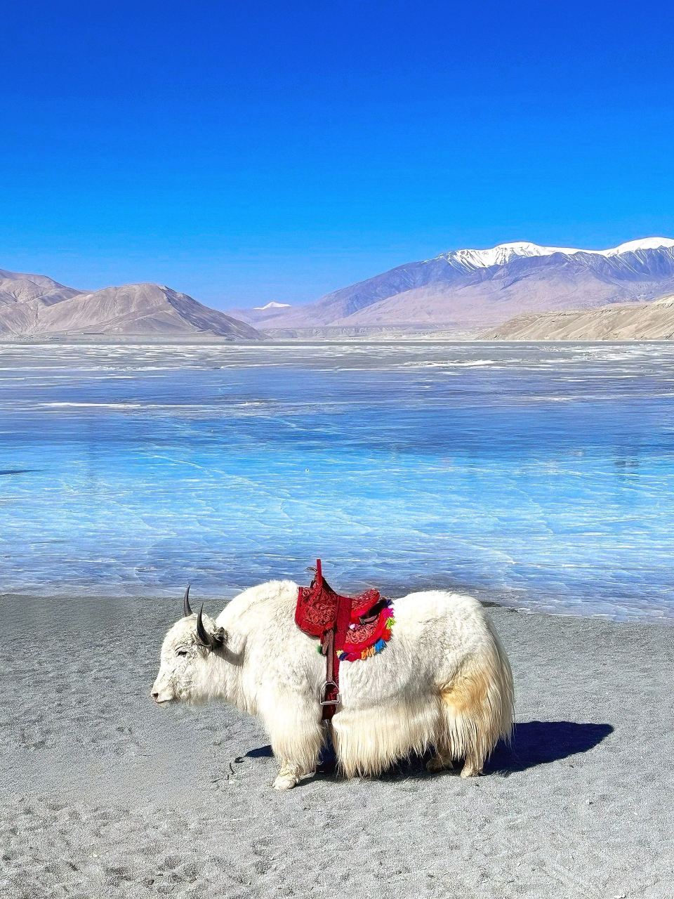 3日老友遊新疆南疆—喀什市超詳細攻略快來收藏｜Trip.com 塔什庫爾幹