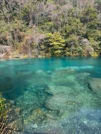 廬山2日遊 玩轉全山不踩雷