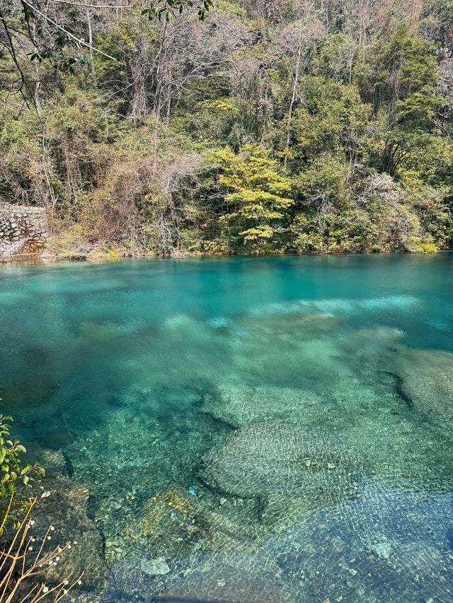 廬山2日遊 玩轉全山不踩雷