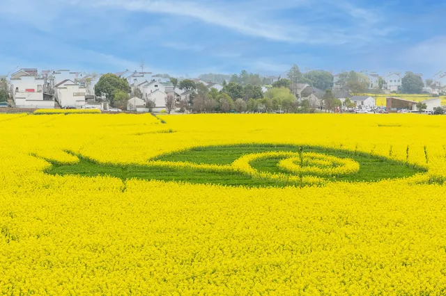 逃離都市攻略！解鎖江浙滬春日賞花秘景