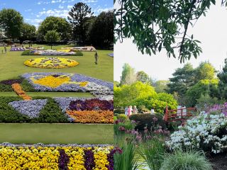 A Hidden Oriental Wonderland in Australia—Toowoomba Japanese Garden