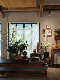 深圳挺有特色的Cafe ~ 甜椒草堂