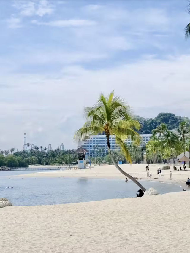 靜謐南洋：巴拉灣海灘的陽光詩篇