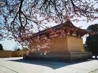 芮城廣仁王廟遊覽