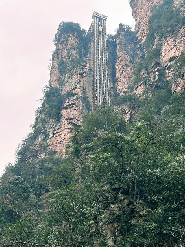 Citywalk張家界等地｜踏遍仙境 不走尋常路