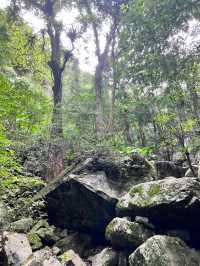三亞-五指山5天深度遊 超詳細攻略來襲別錯過
